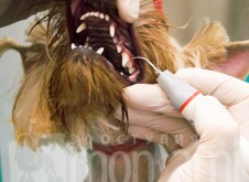 monamistudioru-teeth-108