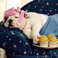 Комплексный уход