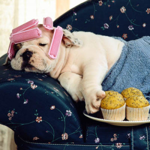 Мытье и сушка