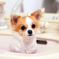 Мытье и сушка