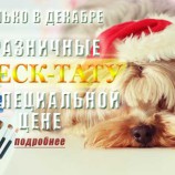 Стрижка собак и кошек. Зоостудия «Mon Ami» - +7 (499) 390-2251