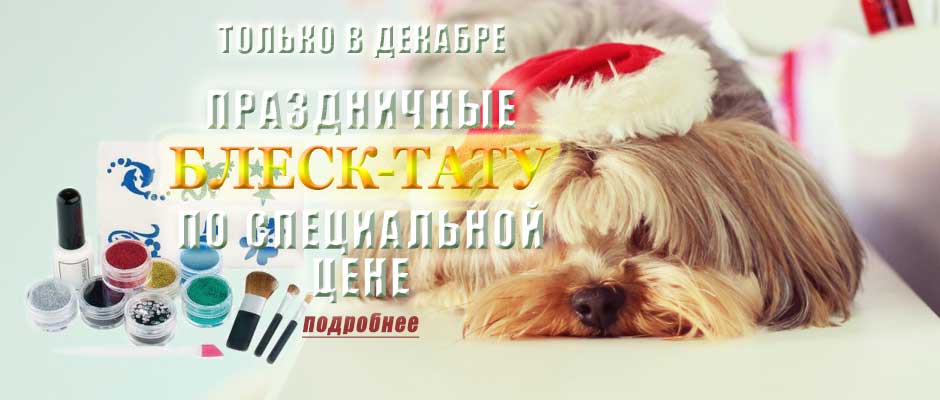 Стрижка собак и кошек. Зоостудия «Mon Ami» - +7 (499) 390-2251