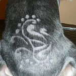 Пример тату стрижкой