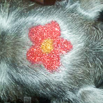 Пример тату красителем