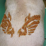 Пример блеск тату на спине