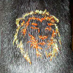 Пример тату красителем