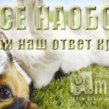 Акция: все наоборот!