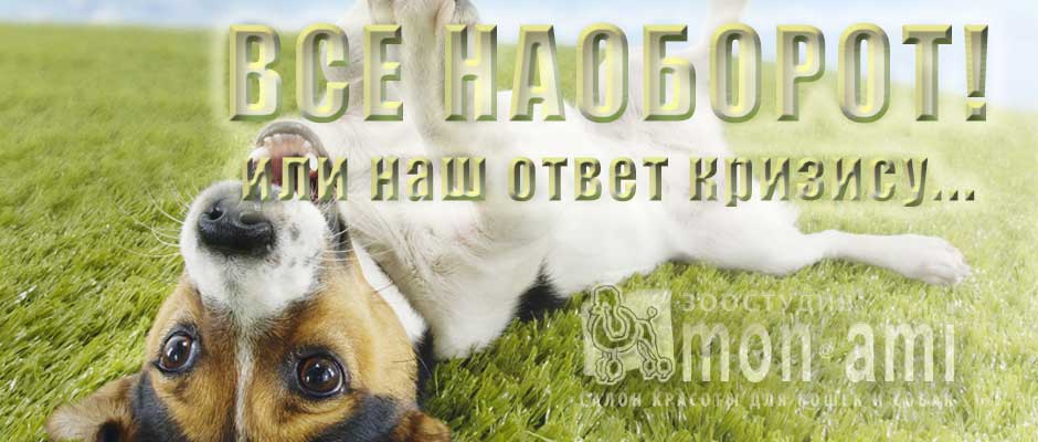 Акция: все наоборот!