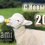 Поздравляем с новым 2015м годом!