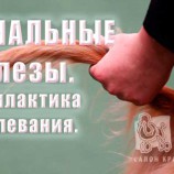 Паараанальные железы